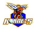 FBK Hornets Mútne logo